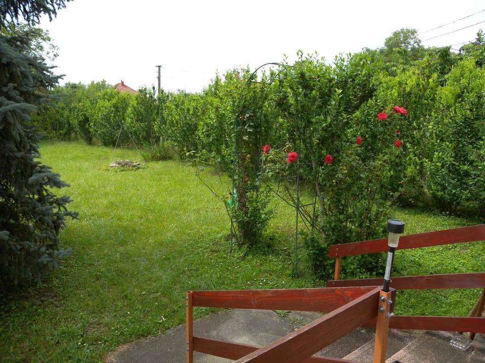 Summer, Garden, Balcony/Terrace