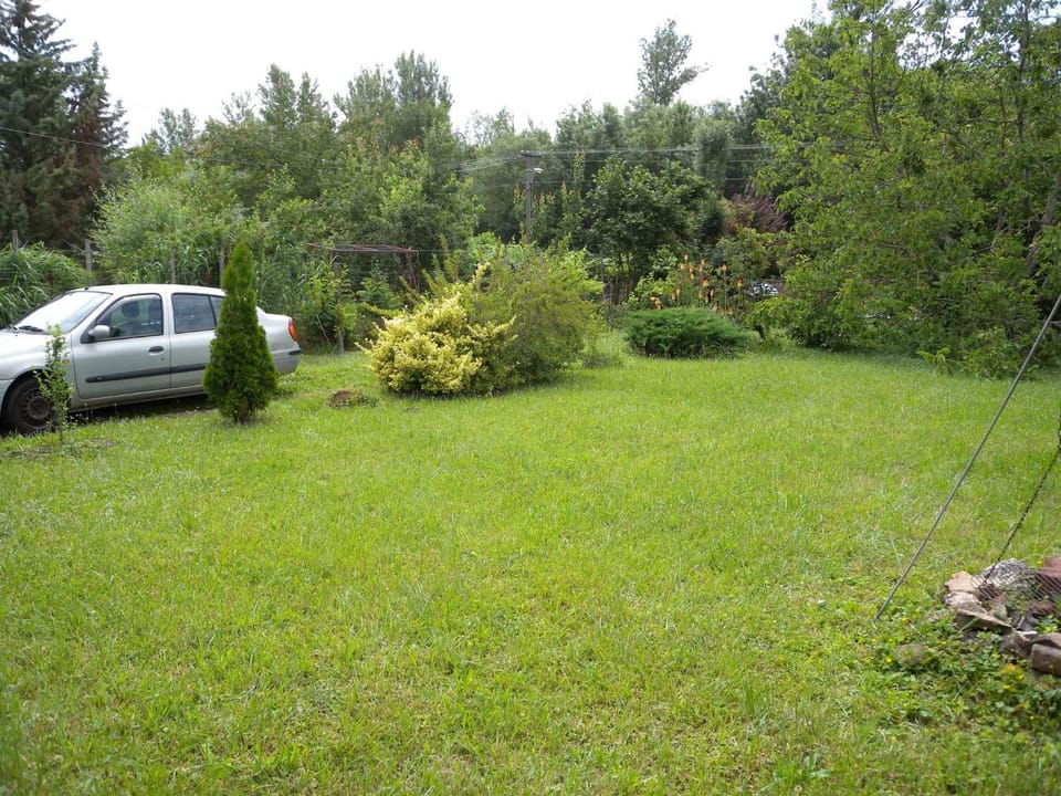 Summer, Garden, Parking