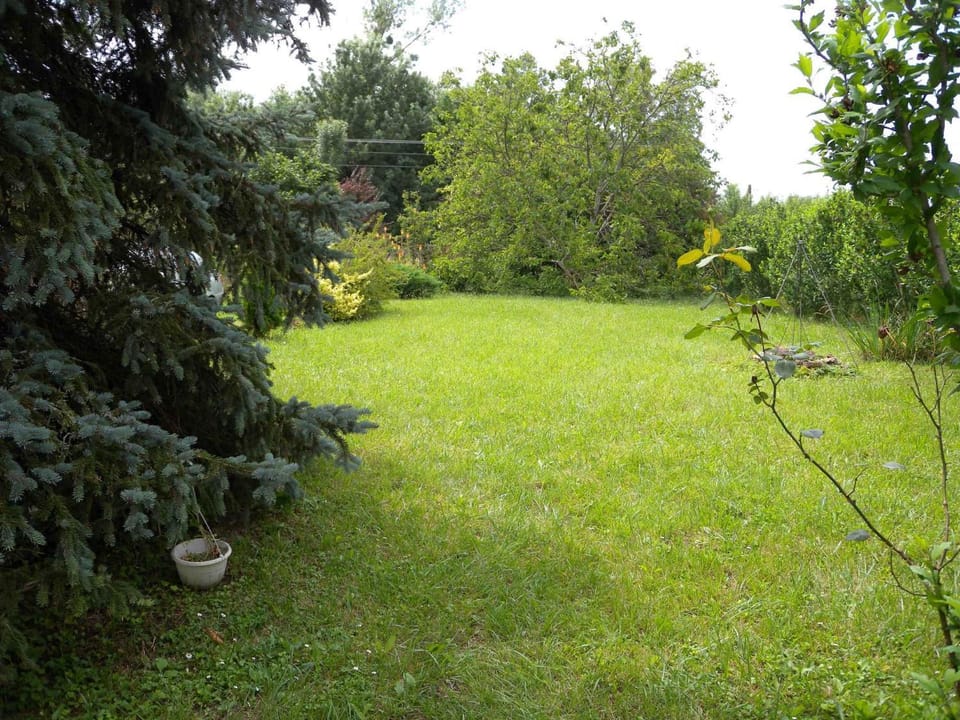 Summer, Garden