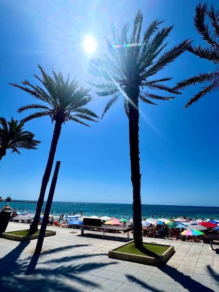 Gorgeous Apartment La Sal 100m Beach Apartment in Torrevieja