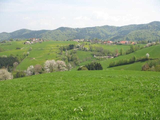 Ferienwohnungen Hansmartihof Farm Stay in Freiburg