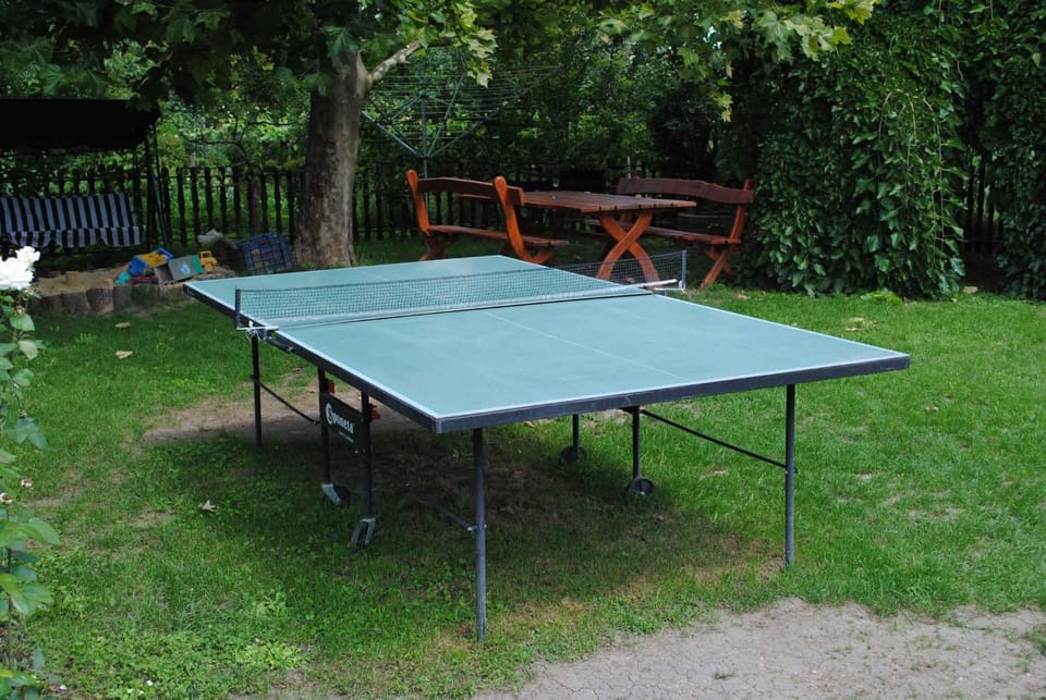 Summer, Table tennis