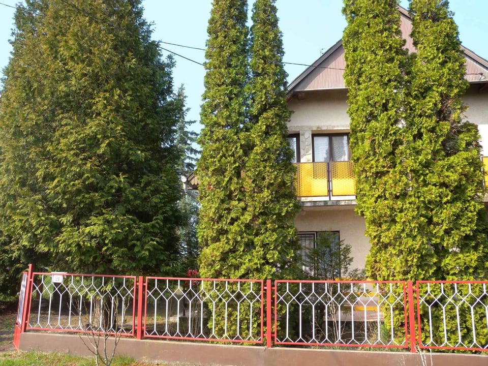 Property building, Summer