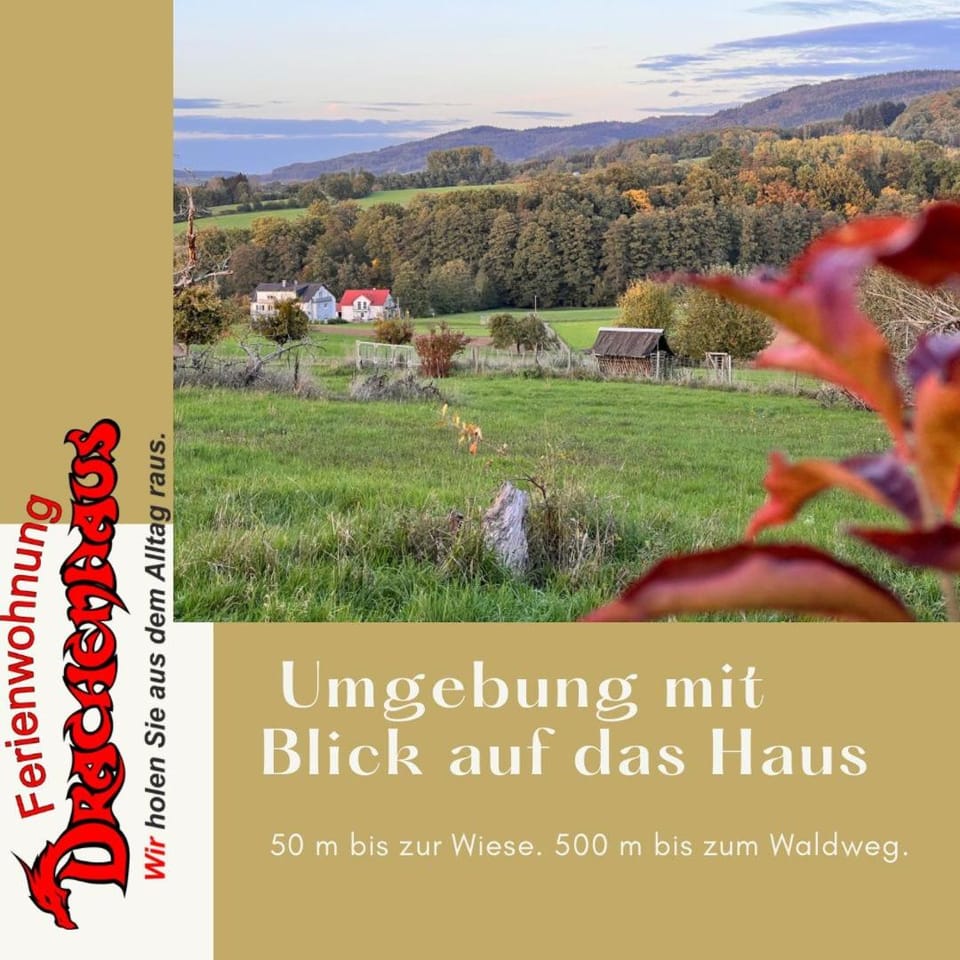 Ferienwohnung Drachenhaus WIR holen Sie aus dem Alltag raus Apartment in Hesse