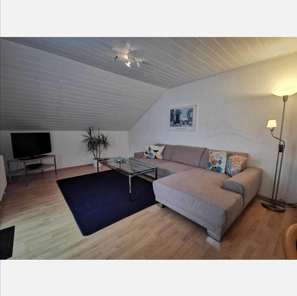 Engler-Fazekas Apartment in Villingen-Schwenningen