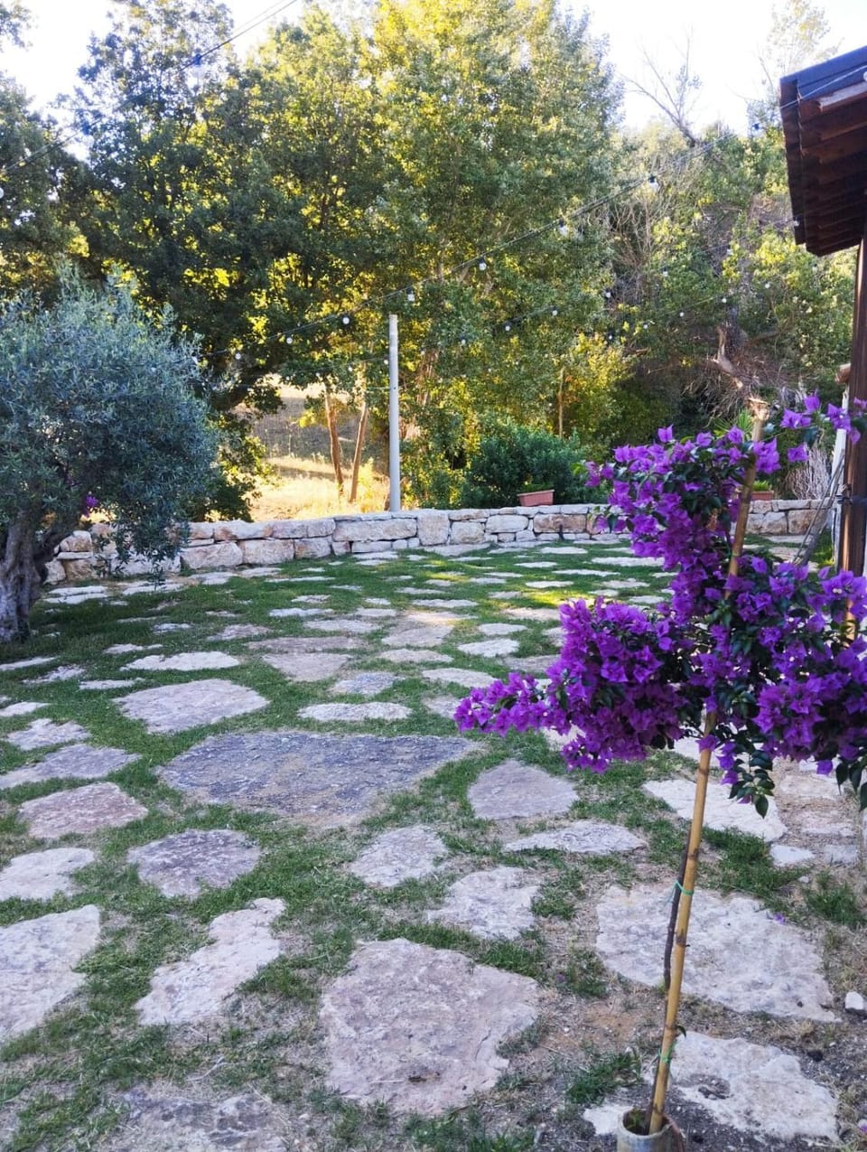 Natural landscape, Garden, Garden view