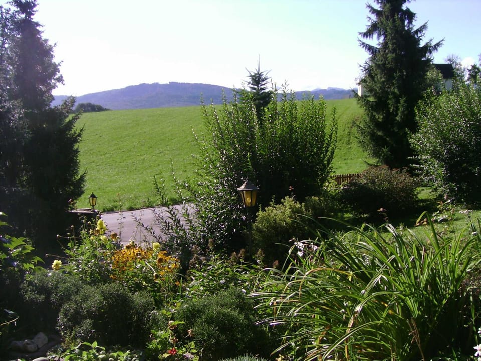 Neighbourhood, View (from property/room)