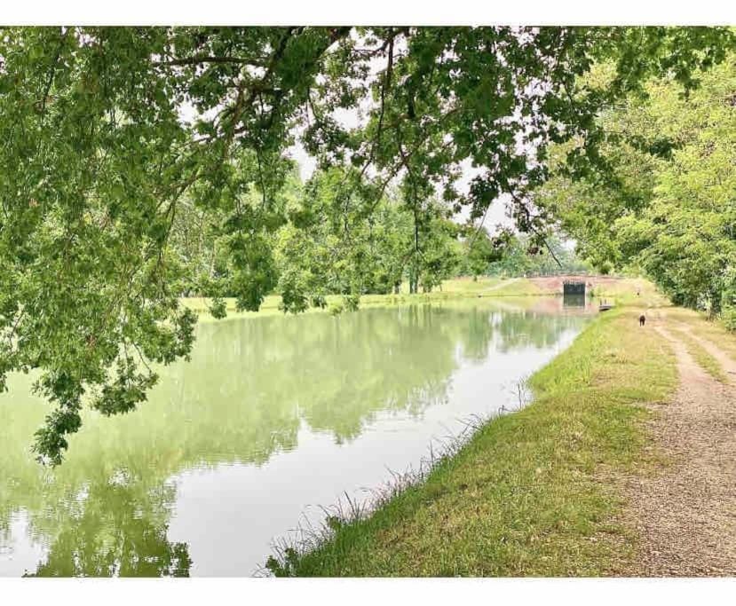 Le cosy studio du canal. Apartment in Occitanie