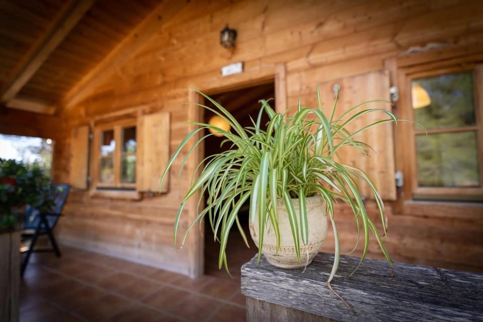 Aras Rural Hotel in Valencian Community