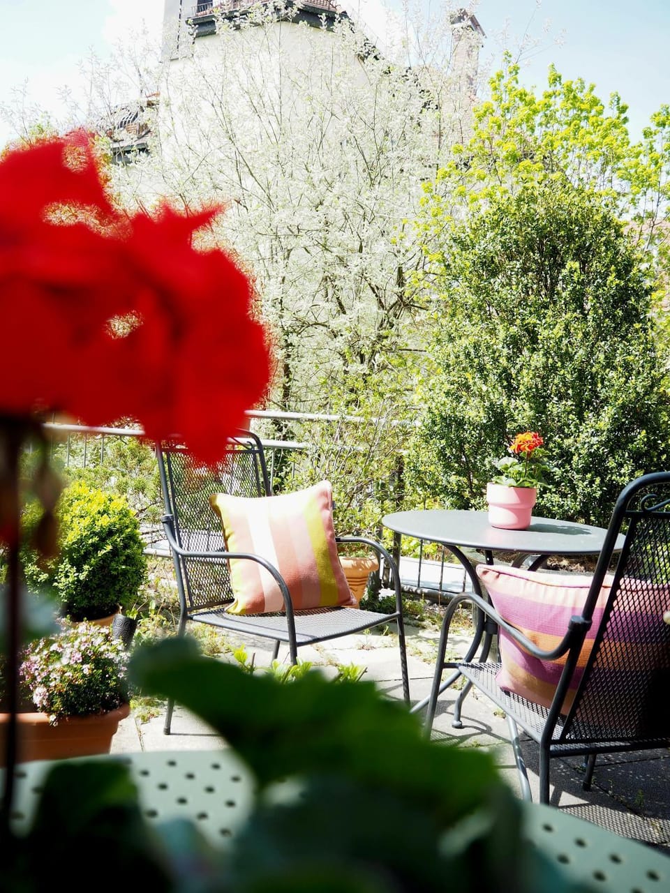 Balcony/Terrace