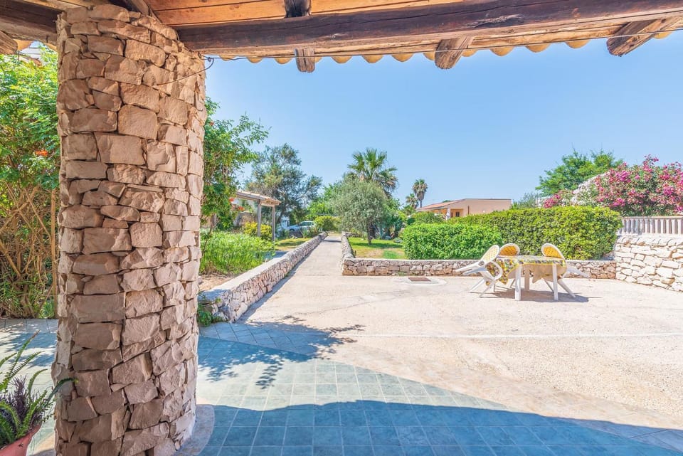 Garden, Garden view, sunbed
