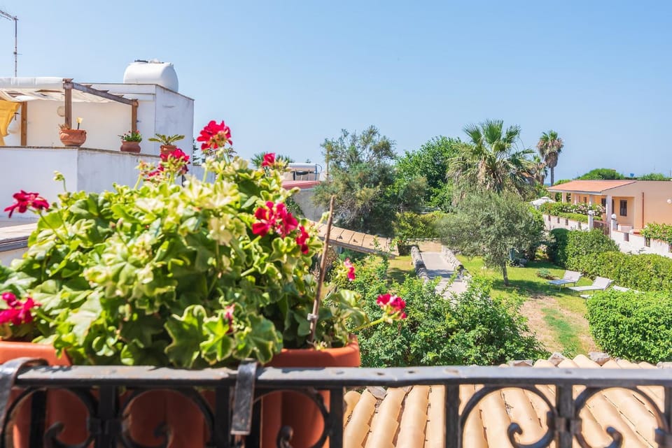 Property building, Garden, Garden view