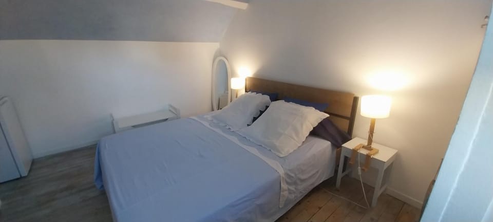 Chambre bleue avec accès plage Bed and Breakfast in Bourges
