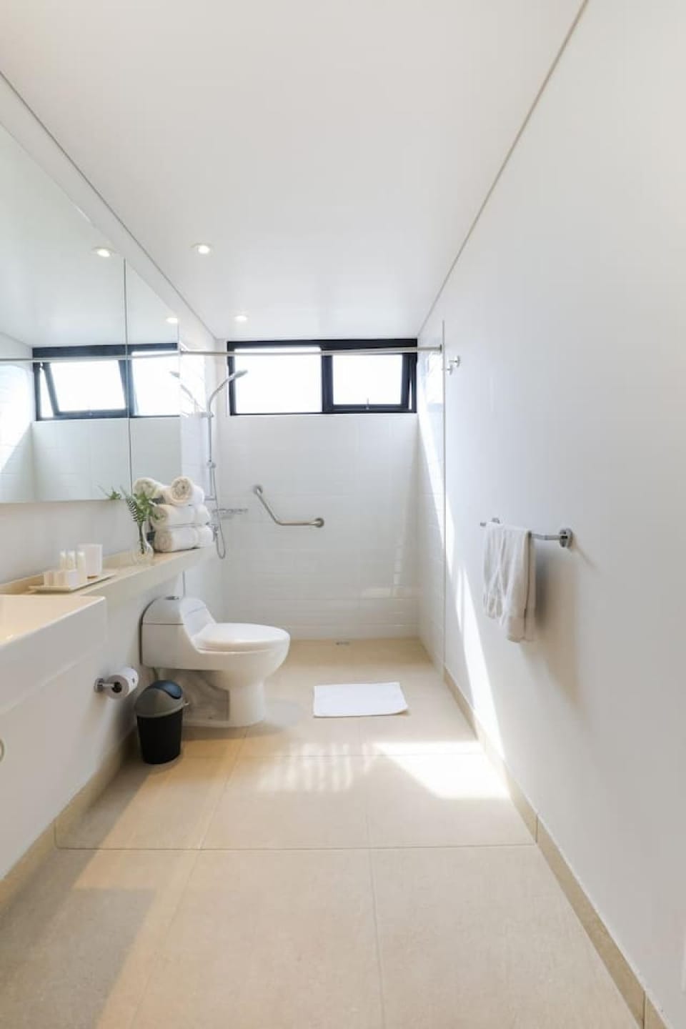 Shower, Toilet, Bathroom, towels