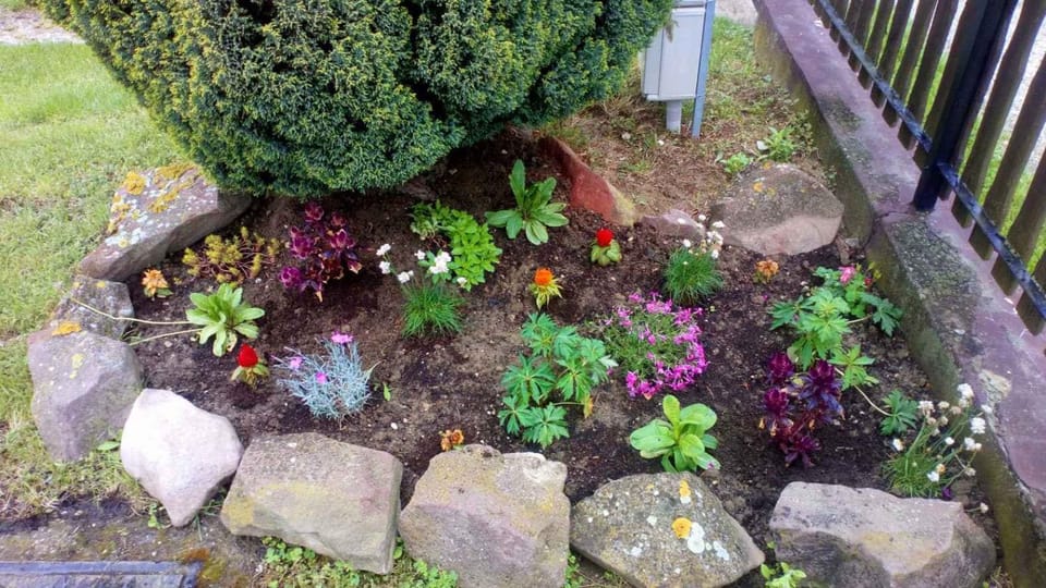 Summer, Garden