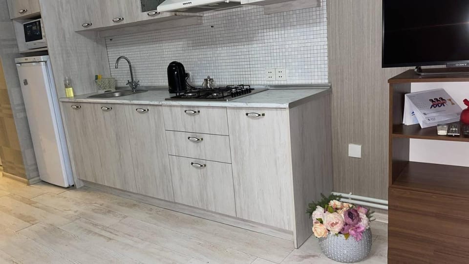 Kitchen or kitchenette, dishwasher, minibar, pet friendly, stove