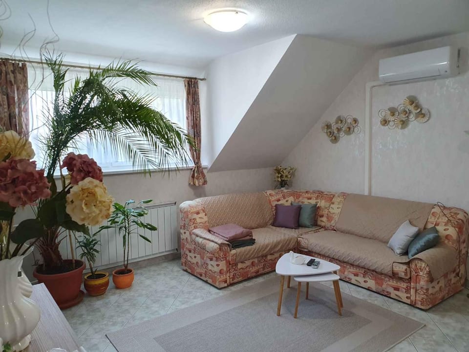Living room, air conditioner