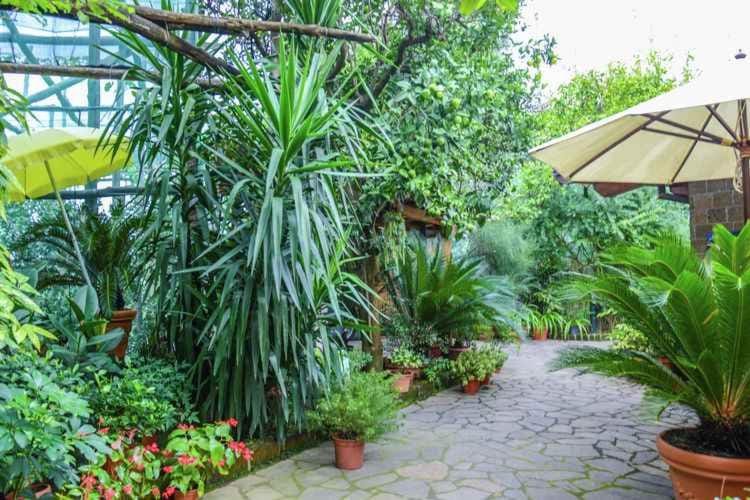 Summer, Garden