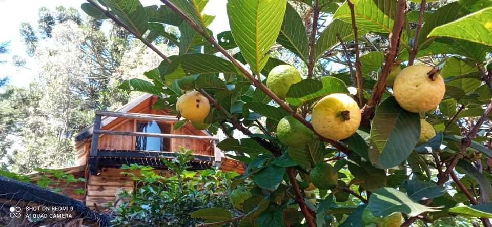 Chalé serra azul Chalet in State of São Paulo
