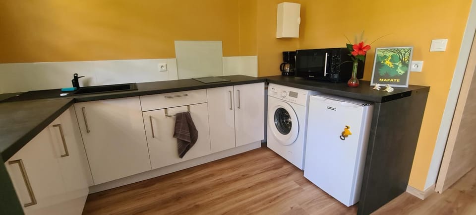 Kitchen or kitchenette, washing machine