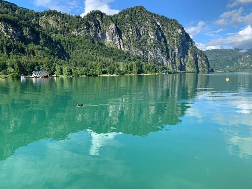 Ferienwohnung Seestern-Mondsee Apartment in Mondsee