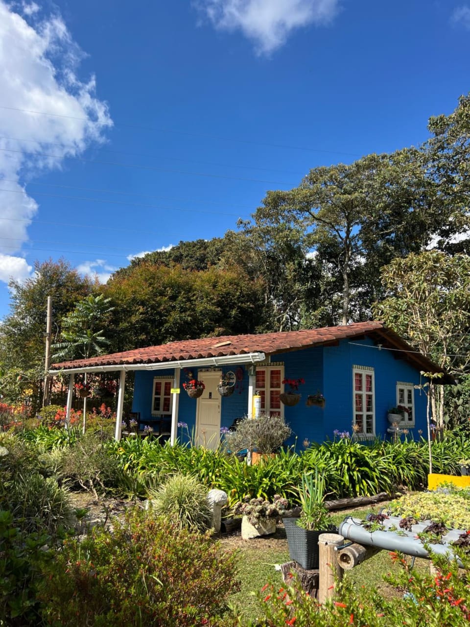 Hospedaje Santaelena -chalets de montaña- Chalet in Antioquia