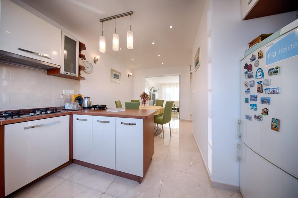 Kitchen or kitchenette, dishwasher, minibar, pet friendly, stove