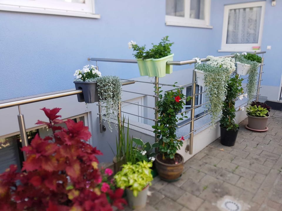 Gästehaus Schwien Apartment in Rust