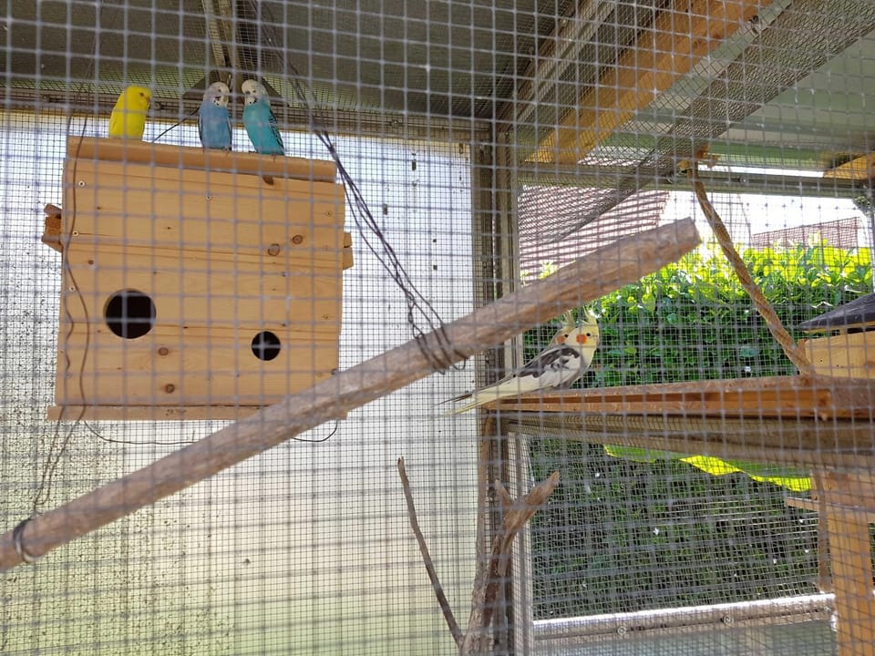 Gästehaus Schwien Apartment in Rust