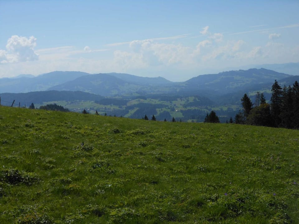 Allgäustüble Apartment in Oberstaufen