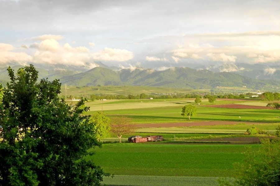 View (from property/room)