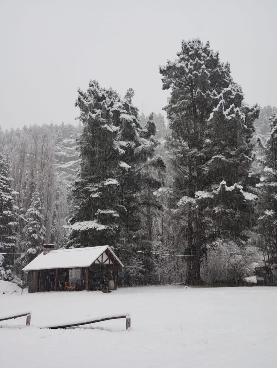 Natural landscape
