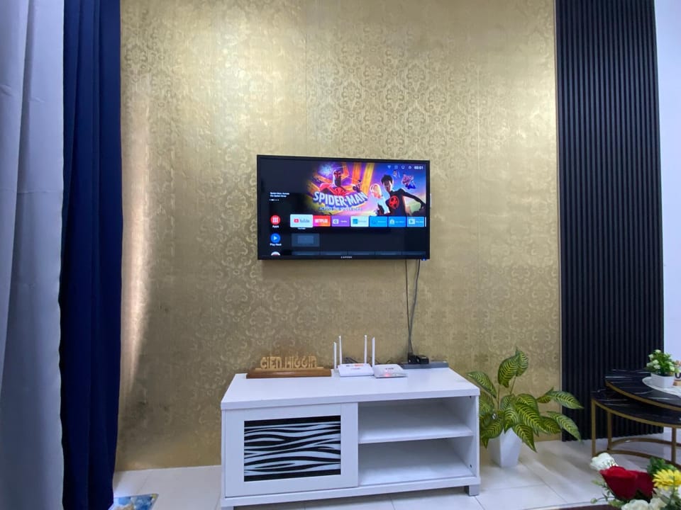 TV and multimedia, internet