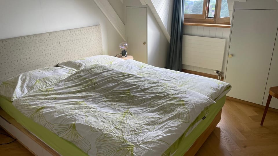 Attic Apartement - Penthouse 2 Bedrooms Apartment in Lausanne