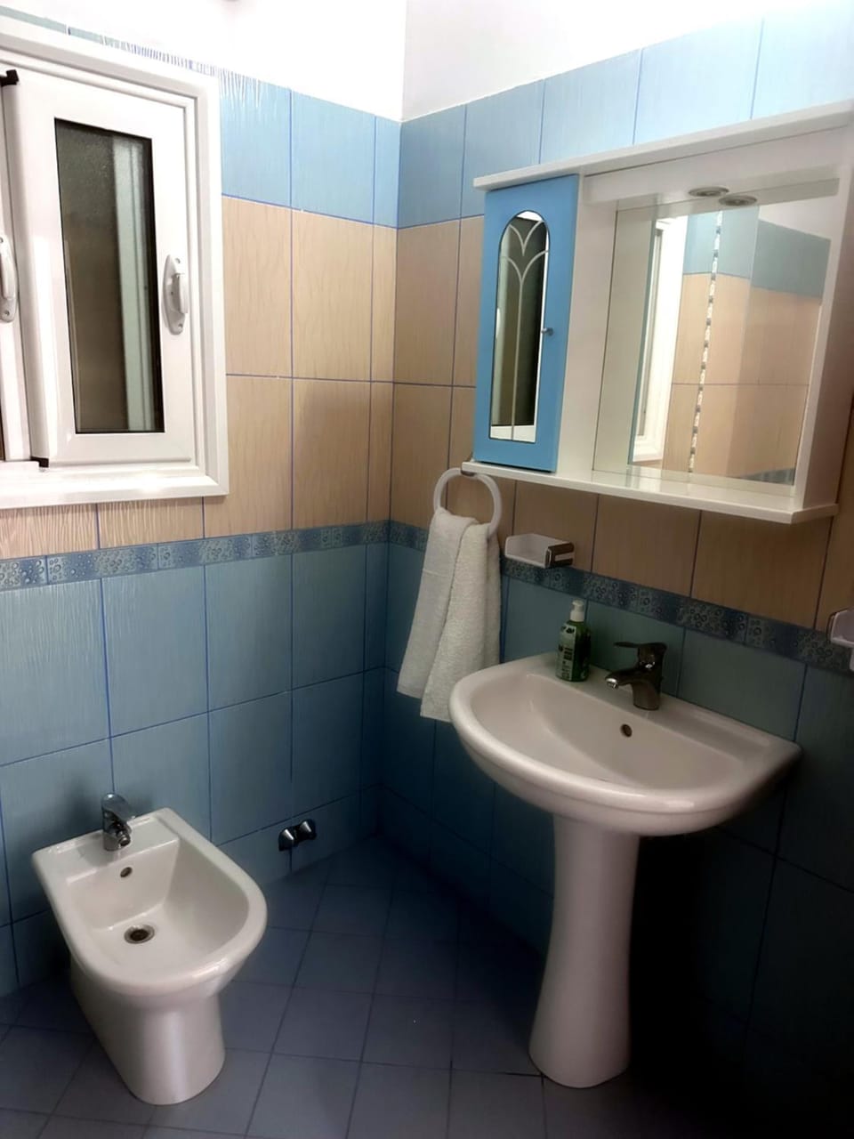 Shower, Toilet, bidet