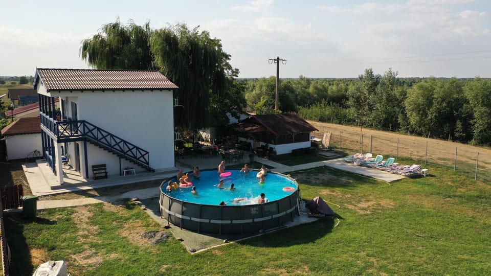 Day, People, Natural landscape, Garden, Garden view, Pool view, Swimming pool, group of guests, sunbed