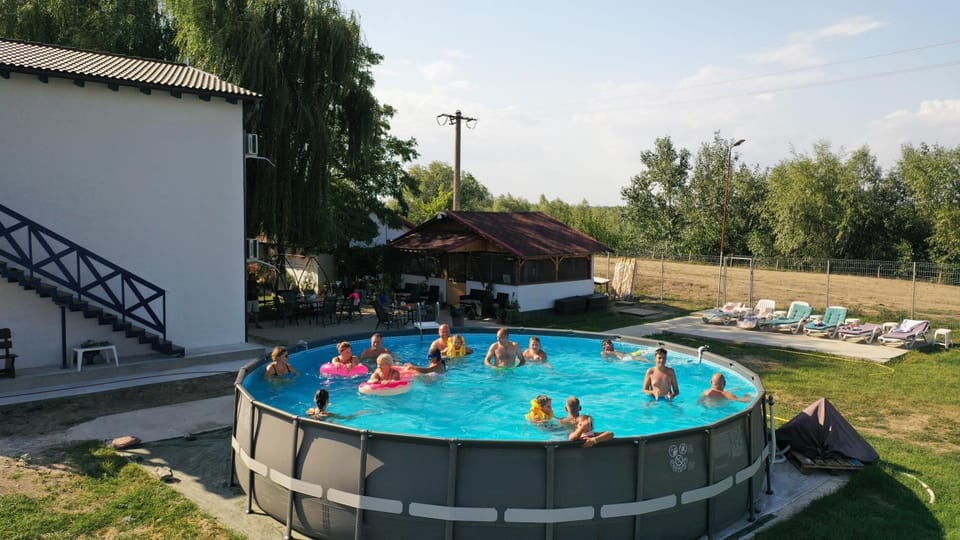 Day, People, Natural landscape, Garden, Garden view, Pool view, Swimming pool, group of guests, sunbed