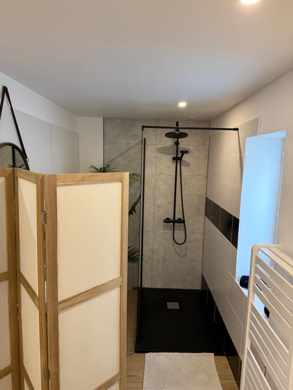 Shower, Bathroom