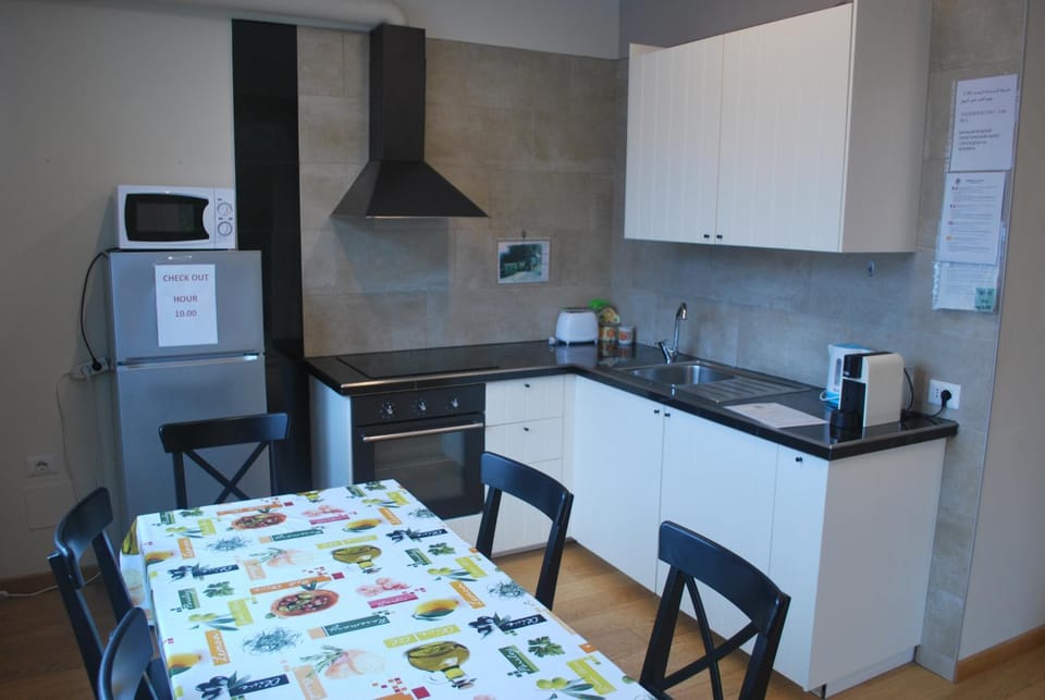 Andrea Olga House Apartment in Laglio