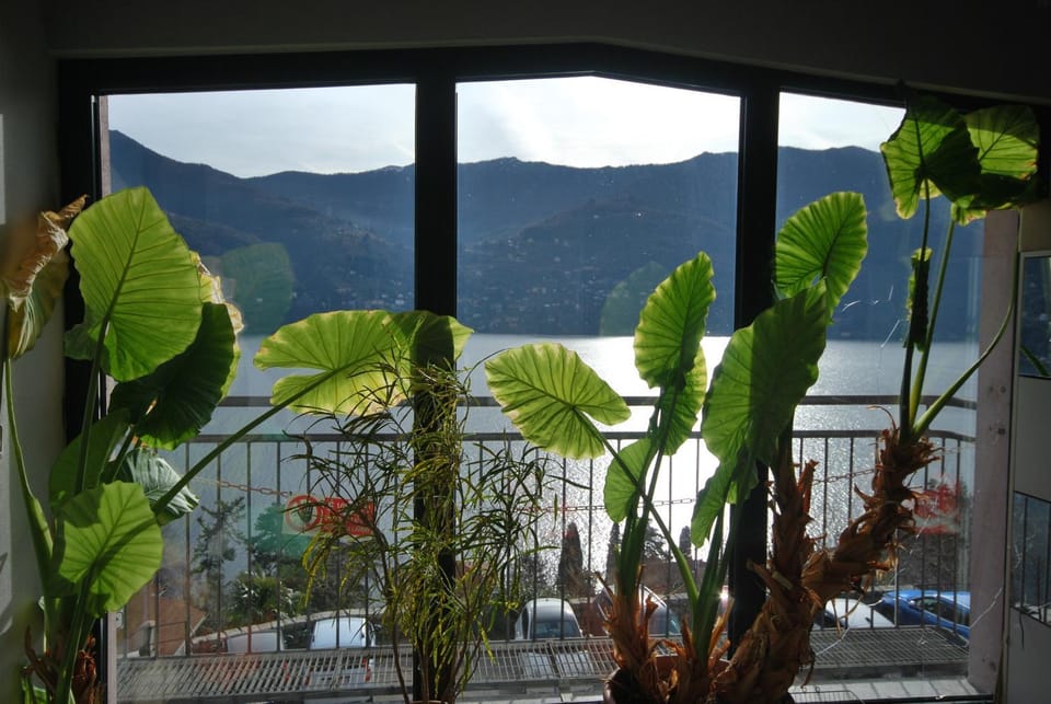 Andrea Olga House Apartment in Laglio