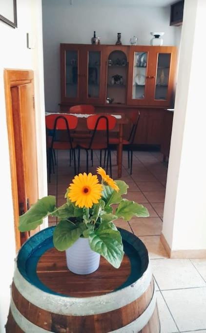 Casetta in Molise, L'Iperico Apartment in Molise, Italy