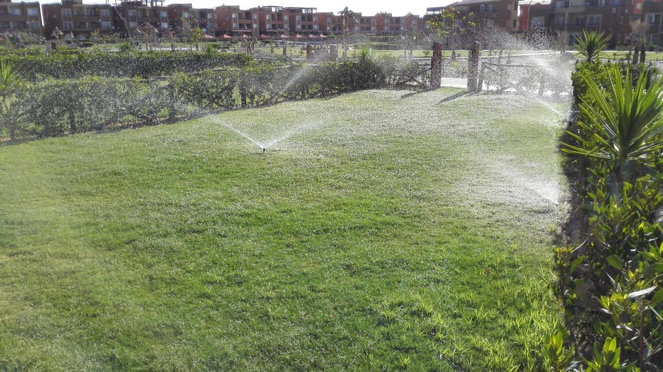 Natural landscape, Garden