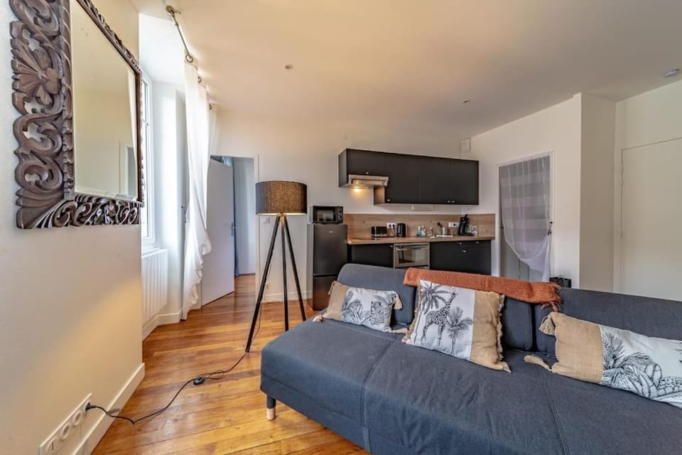La Petite Chouette, charmant et cosy T2 Apartment in Dijon