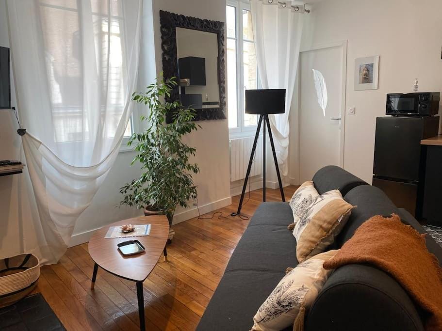 La Petite Chouette, charmant et cosy T2 Apartment in Dijon