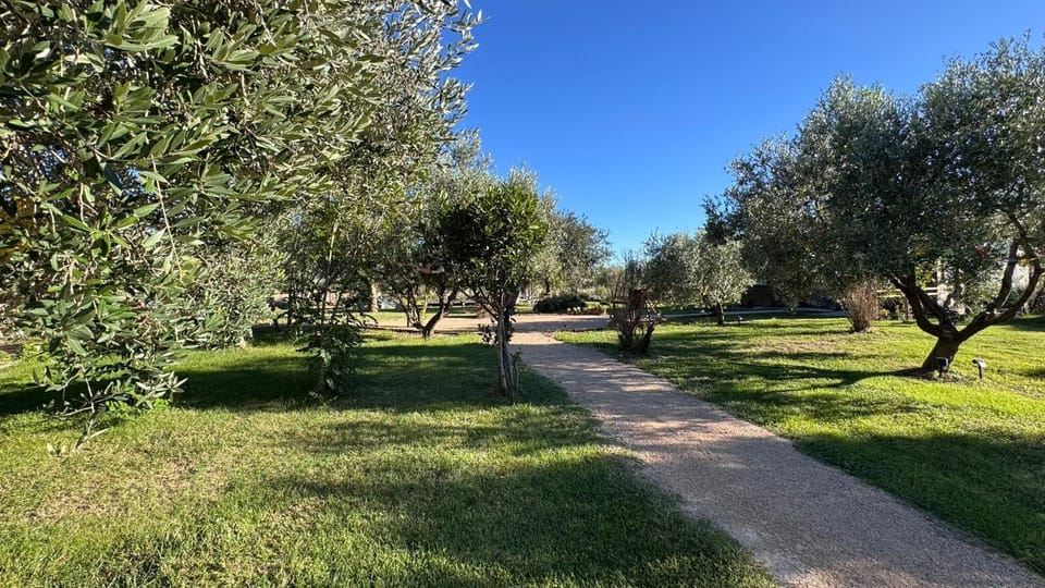 Garden, Garden view