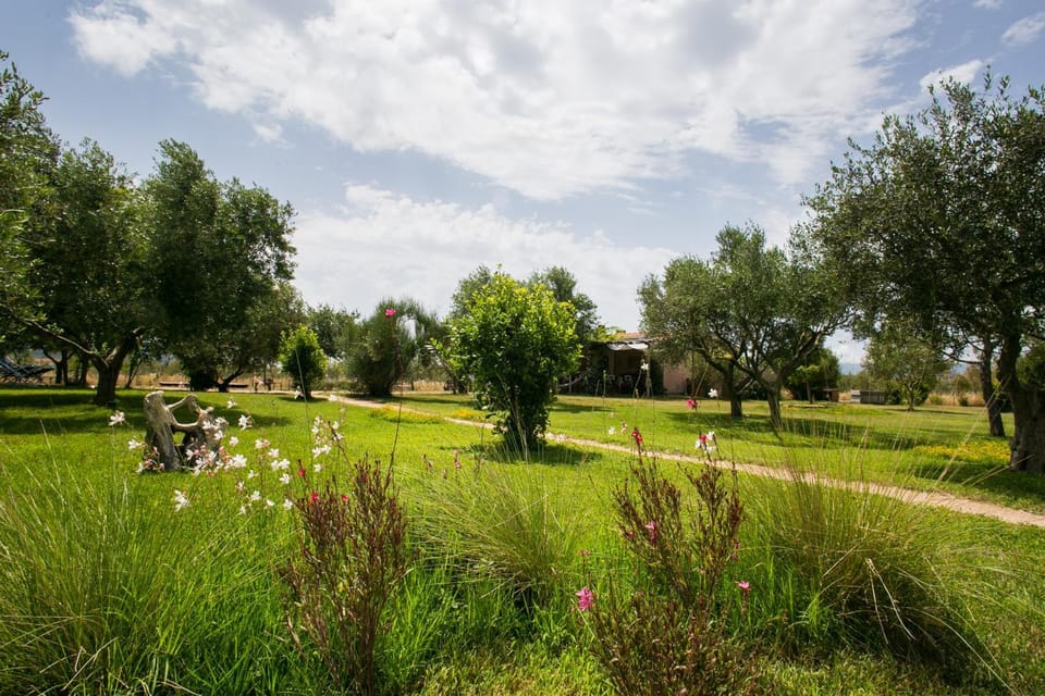 Garden, Garden view