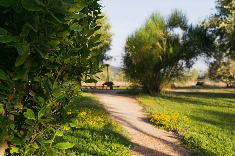 Natural landscape, Garden, Garden view