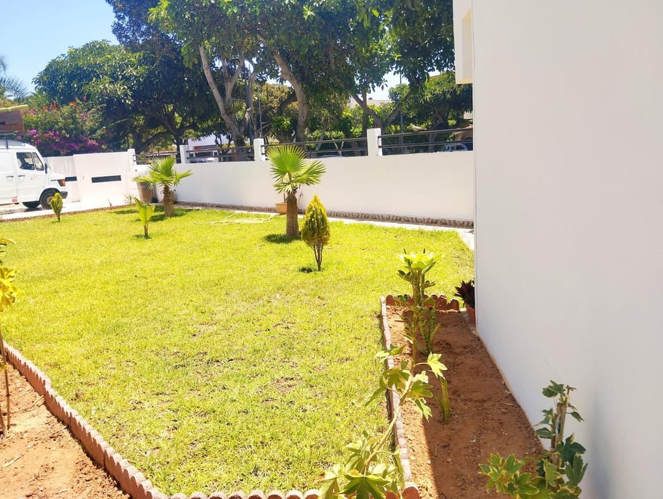 Natural landscape, Garden