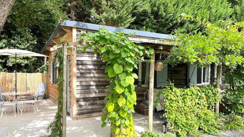 Property building, Patio, Spring, Garden, Garden view