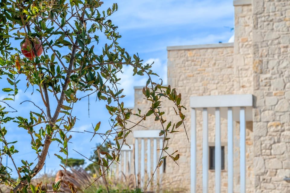 Property building, Garden, Garden view